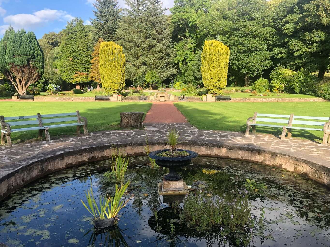 Douglas Park Pond
